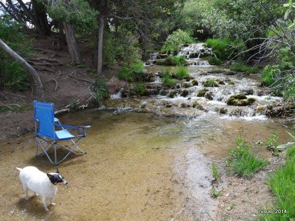 10394469_800059553337775_4682349832112226472_n