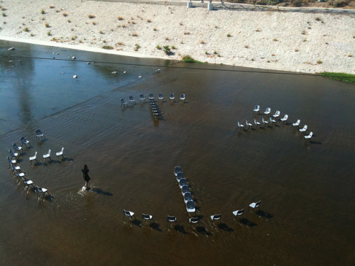 6a00d8341c630a53ef0133f2d953c1970b