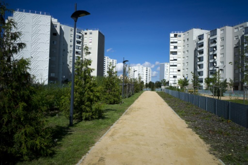 3269323-710435-jpg_3085408