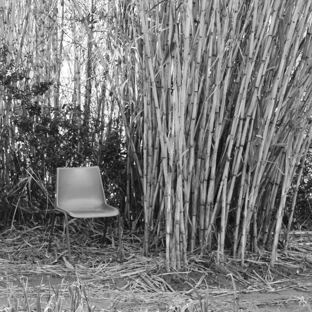 4089386917_dc9eabeb21_b