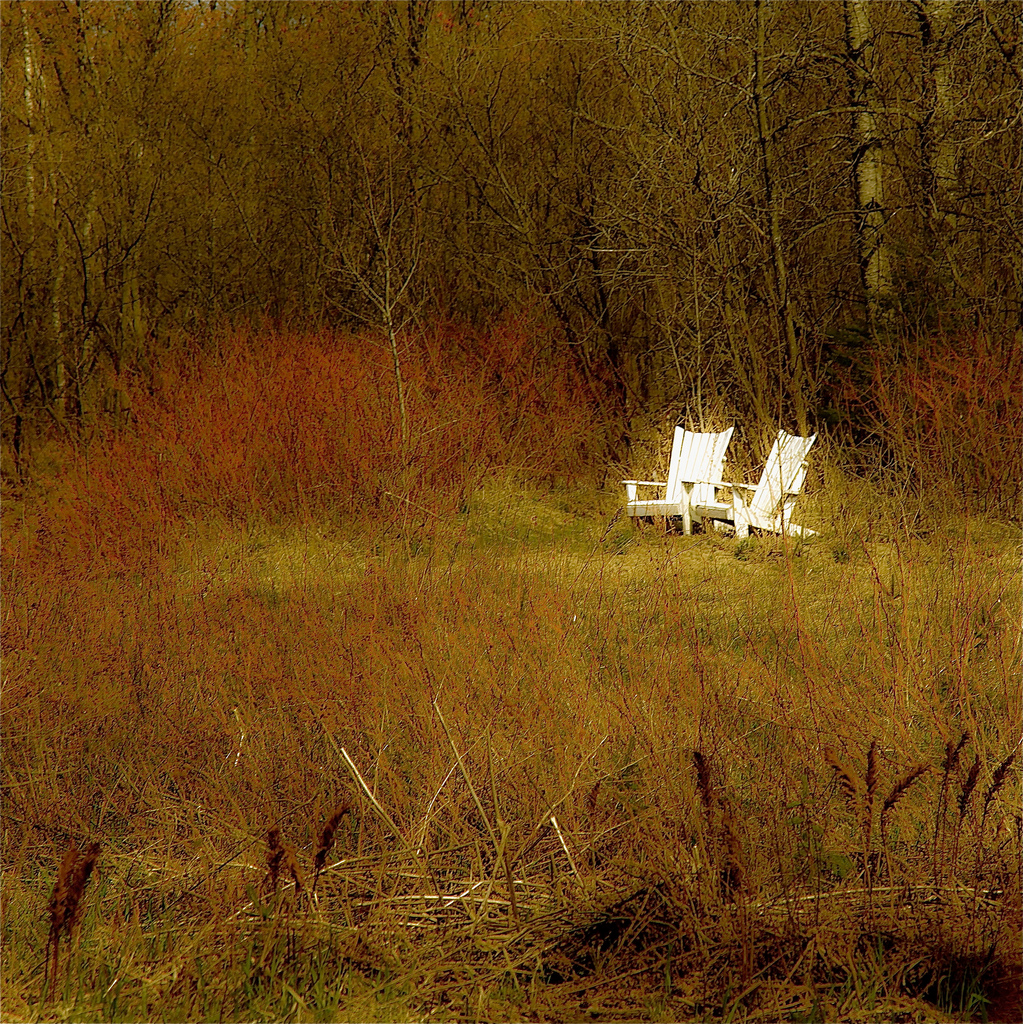 5657944443_af61bcce29_b