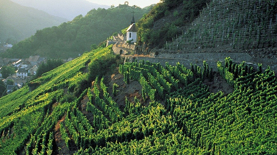 l-alsace-villes-villages-et-vignobles