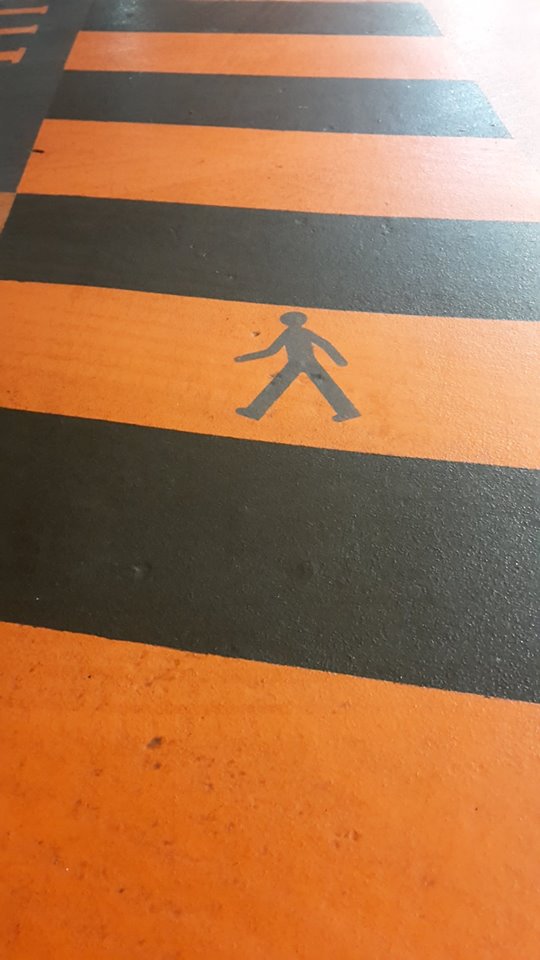 32928637606_59f592fe04_o_d