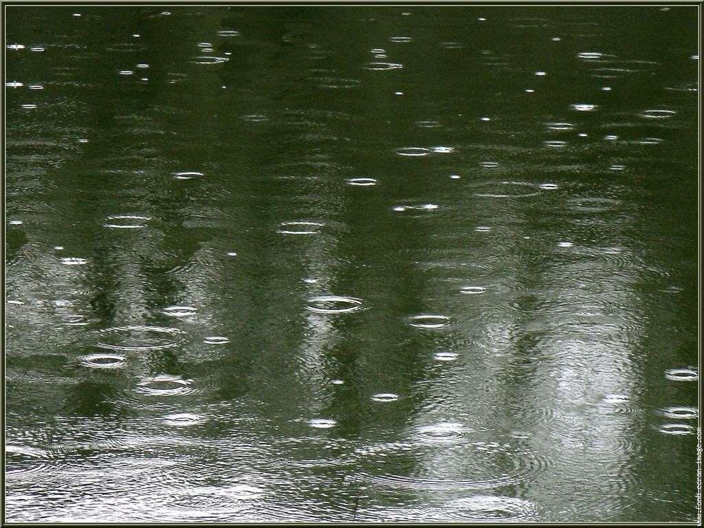 ir1c-vtqomsvjim8m2-c-puk_cq