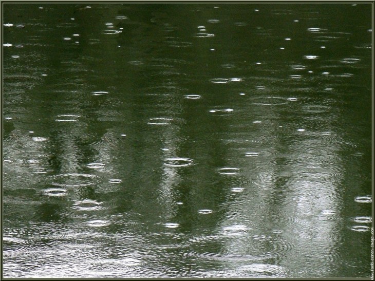 ir1c-vtqomsvjim8m2-c-puk_cq