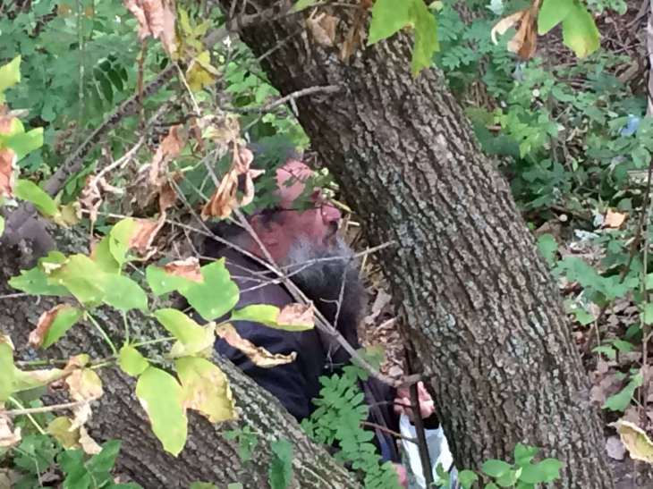 34264195932_e3205cf6e7_k_d