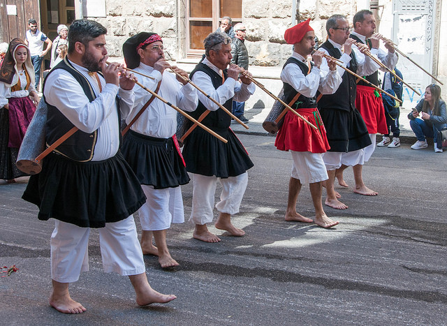 34354760251_ab37930649_z_d