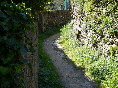 138560653_f767e663a5_z_d