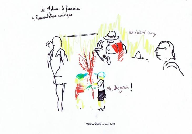 20155783_695857477281412_6411127335671427467_n