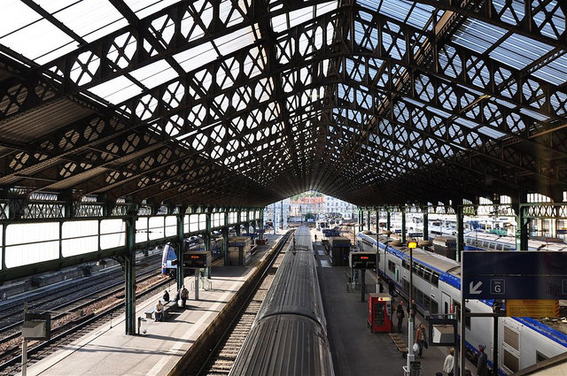 35671553626_91a1eeccb3_z_d