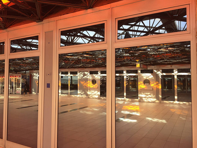 35711002825_c9dfec6099_z_d