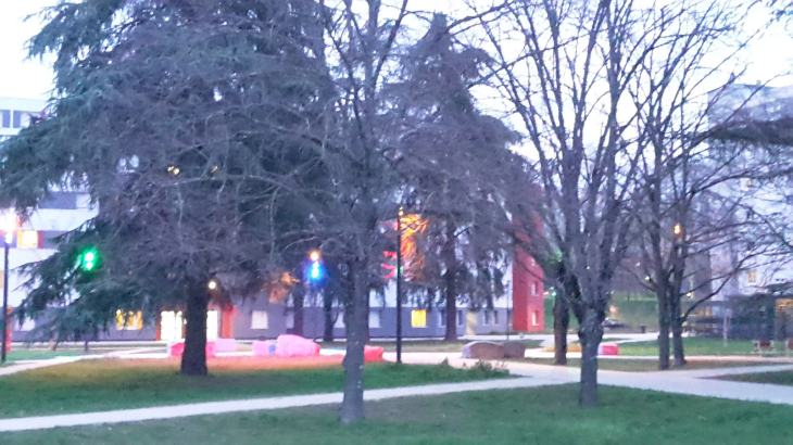 39285275460_81d6f11e9d_k_d