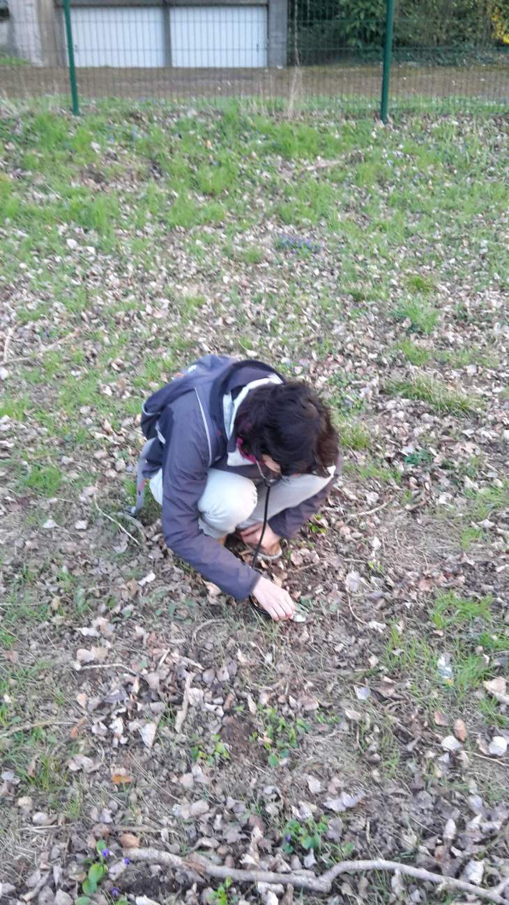 39285278920_791b7c4912_k_d