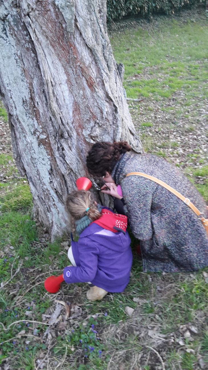 39285280440_e330eb5ee2_k_d