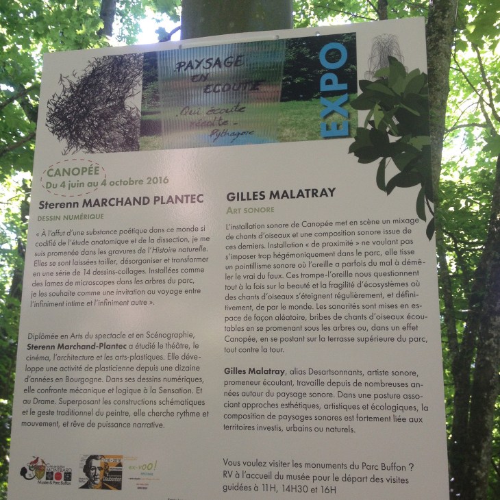 28184293740_5d71032536_k_d