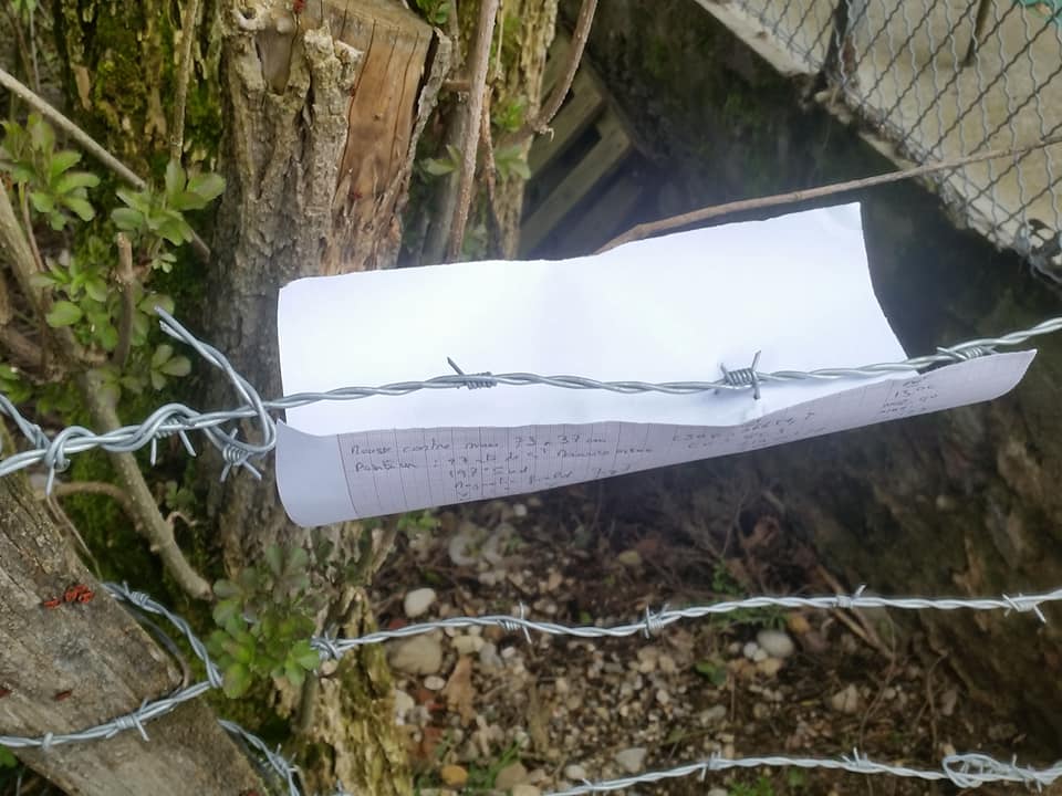 29683503_10216749696441199_1254686655984278932_n