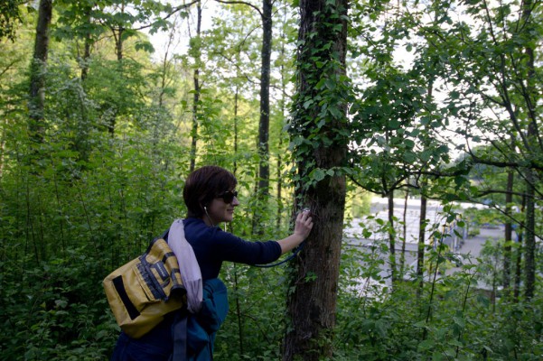 37721711016_d6091e1d03_o_d