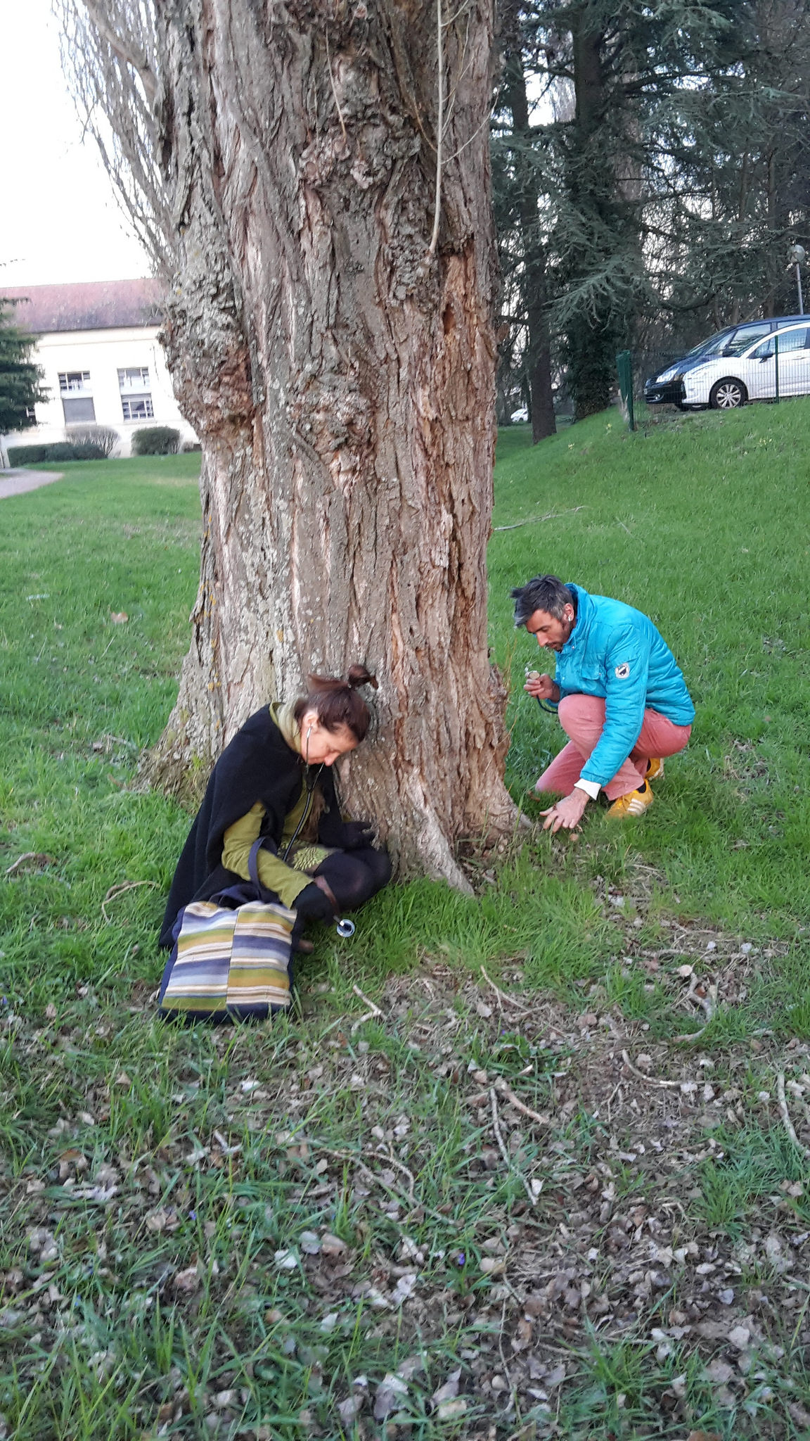 39285279270_a4e8776309_k_d