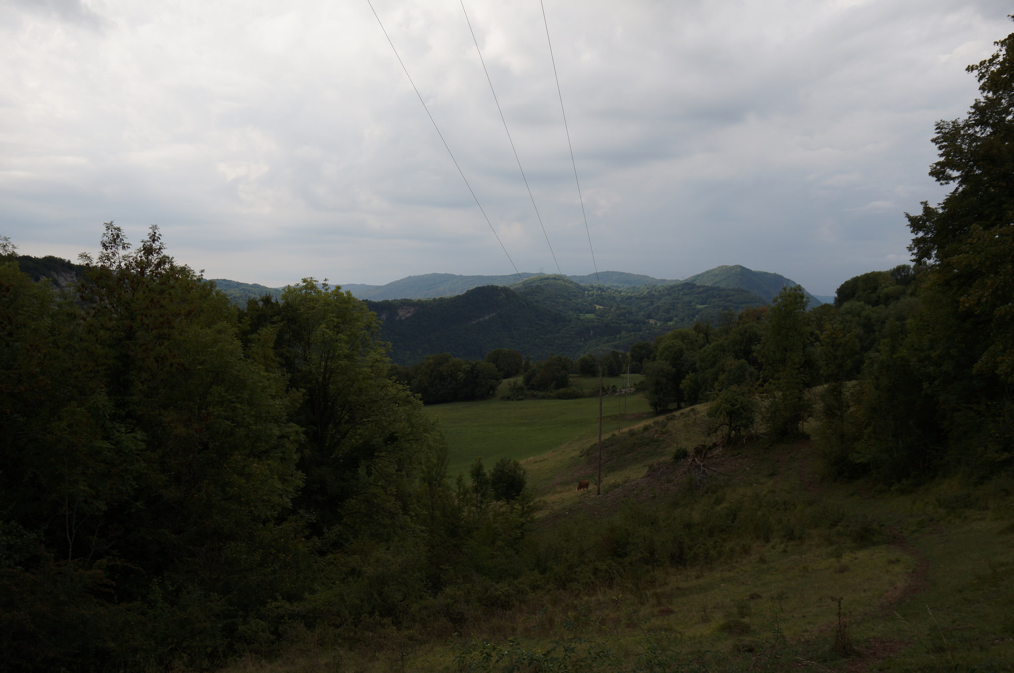 44196362921_46ff419d80_k_d