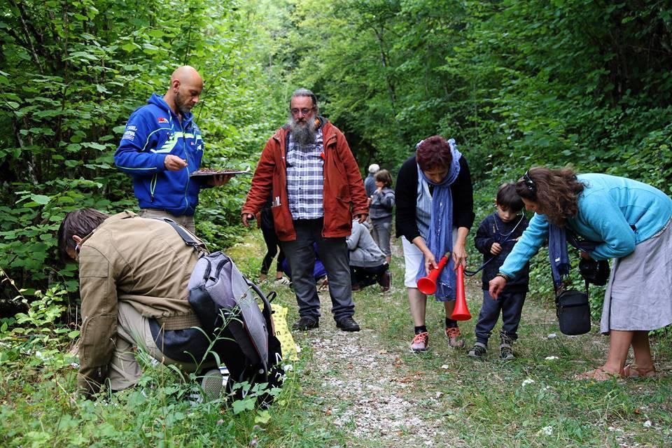 c6175318-2c4b-48c3-b175-865f9fbefc40-original