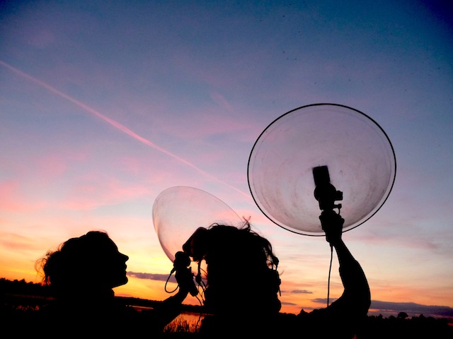 49397691_2234378986805047_1005788552249737216_n