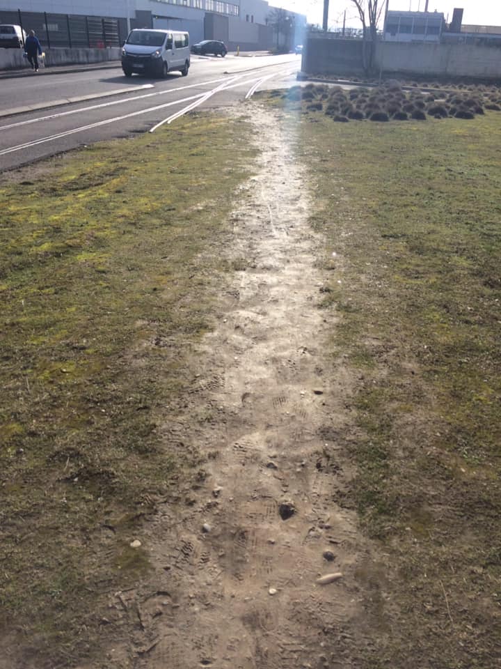 51940873_10155705025440672_5979740334651867136_n