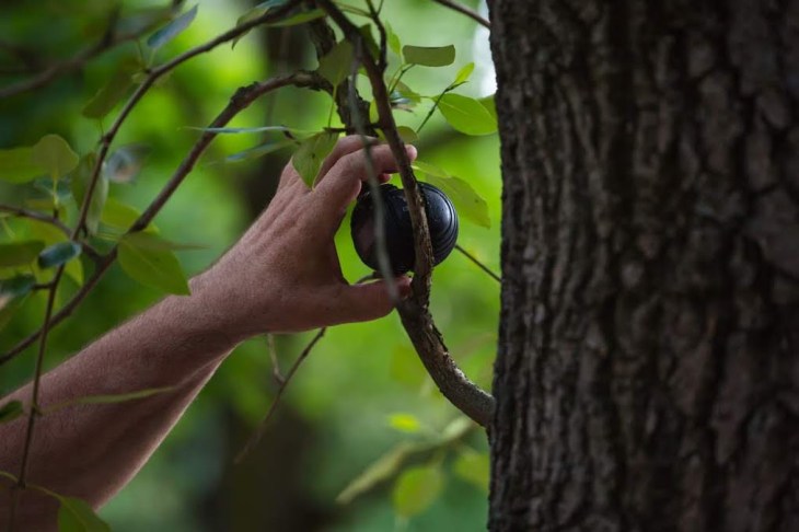 cfa3b64c-074a-427d-8570-b5117e2b2dce