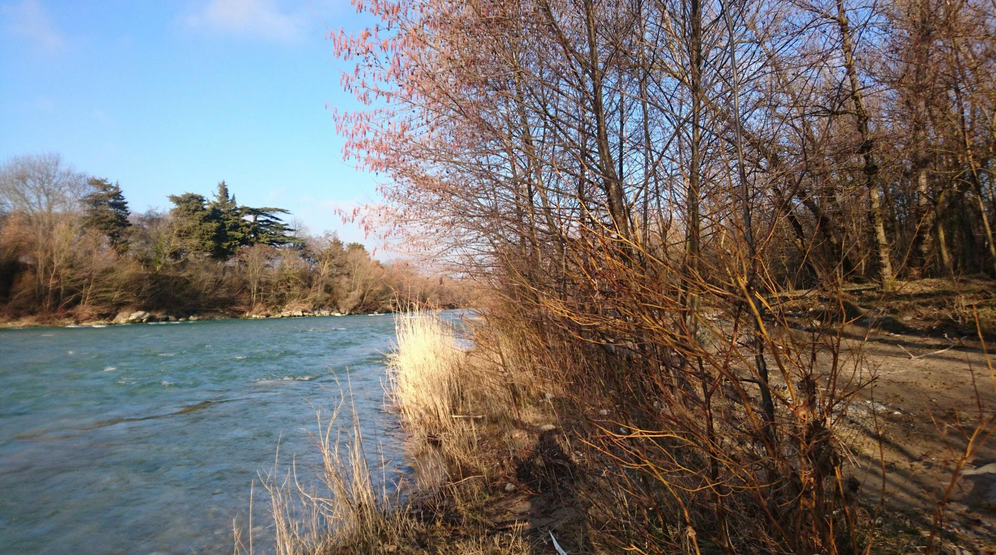 ob_5b5ea3_capture-d-e-cran-2019-02-19-a-09