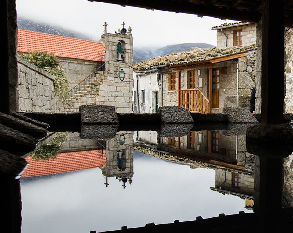 66665564_2599327880077591_4701476054961750016_n