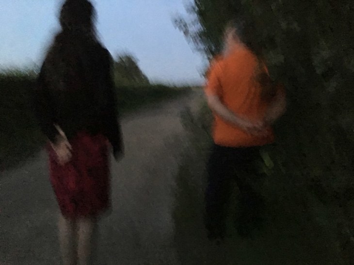 43311535592_5b1b0e2699_b_d