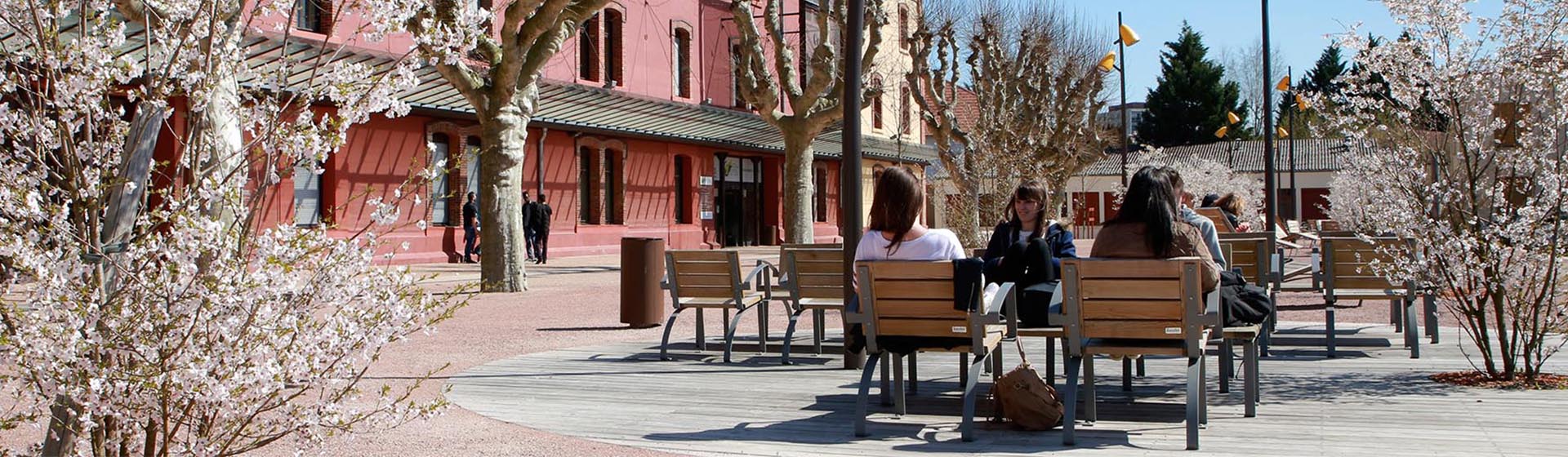 445-campus-universitaire-roanne-tout-et-simplement