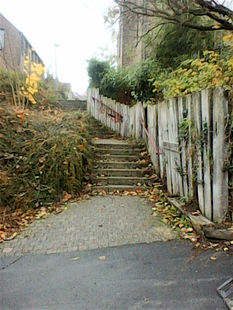 49192730566_07e1570535_o_d