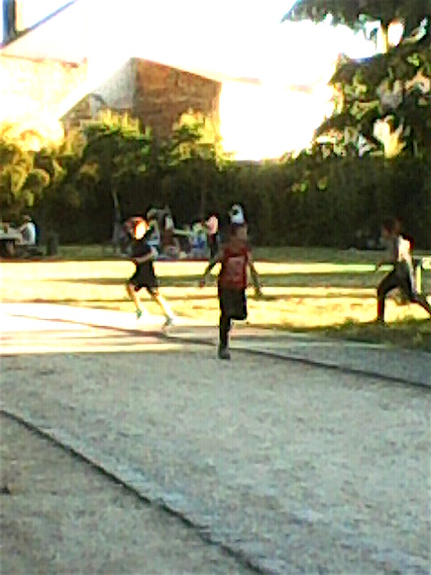 49955803467_c1bf3660bd_o_d